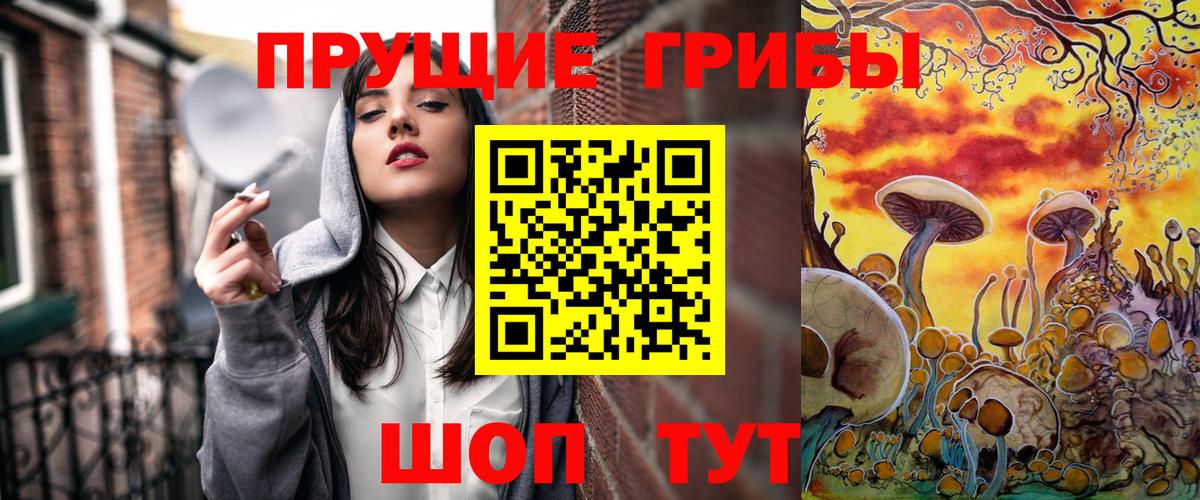 Галлюциногенные грибы Cubensis  Вход с VPN  Новороссийск 